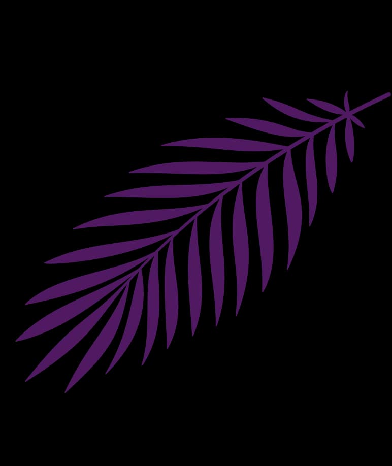 A purple leaf