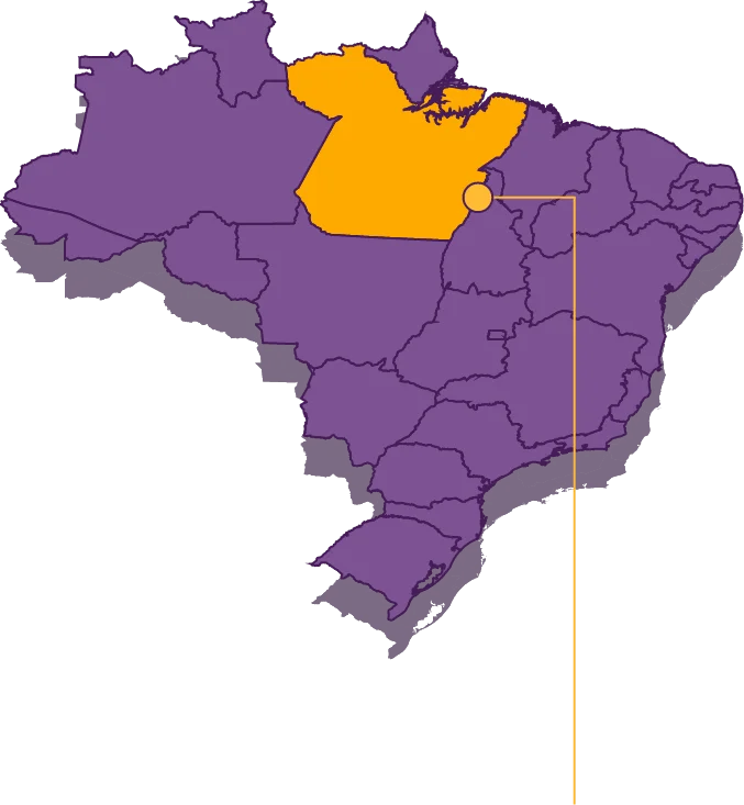 A purple map of Brazil with state of Para in yellow background