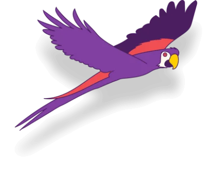 A purple parrot flying in the sky