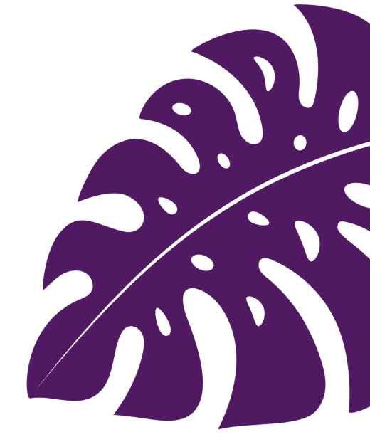 A purple leaf